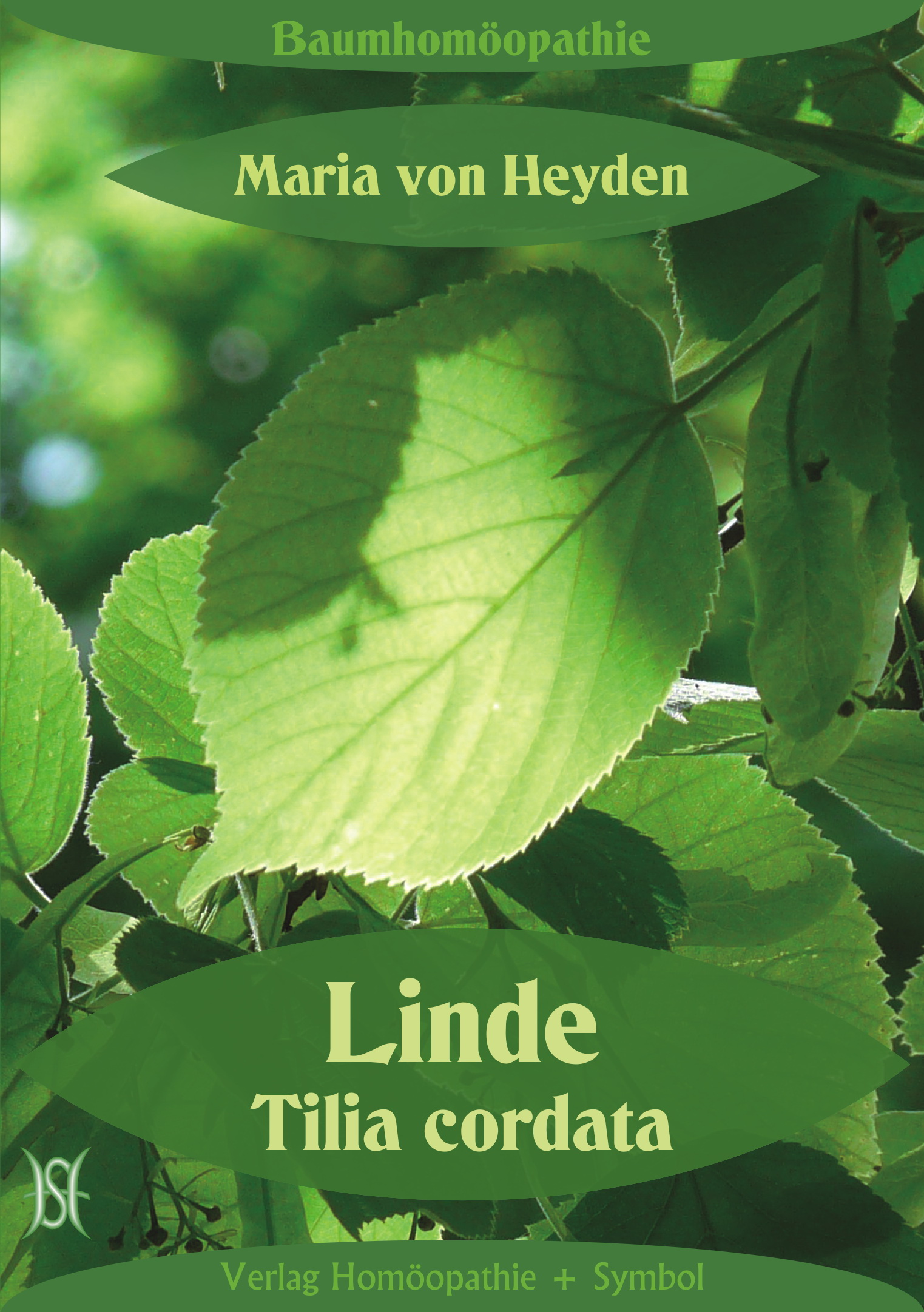 Linde. Tilia cordata. Der homöopathische Weg der Bäume.