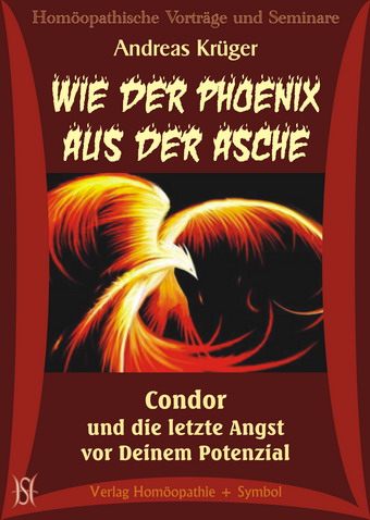 Wie der Phönix aus der Asche. Condor und die letzte Angst vor Deinem Potenzial.