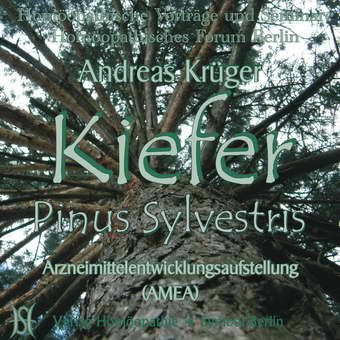 Kiefer - Pinus Sylvestris. Arzneimittelentwicklungsaufstellung (AMEA)