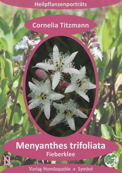 Menyanthes trifoliata - Fieberklee. Heilpflanzenporträt 3