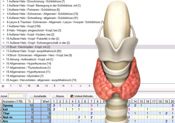 Die Schilddrüse. Eine kleine Drüse mit großer Wirkung. Klinik und Homöopathie