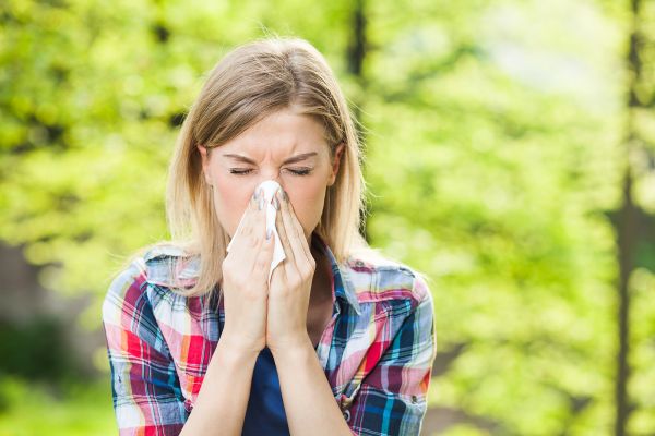 Atemwegserkrankungen. Die individualisierende homöopathische Behandlung bei Heuschnupfen, Bronchitis, Husten, Asthma, Pleuritis, Pneumonie u. a.