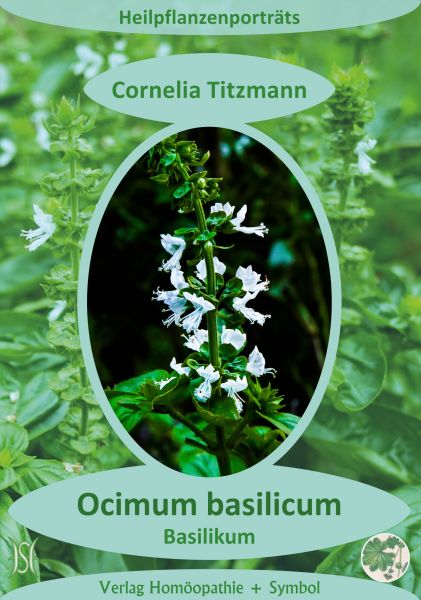 Ocimum basilicum - Basilikum. Heilpflanzenporträt 2