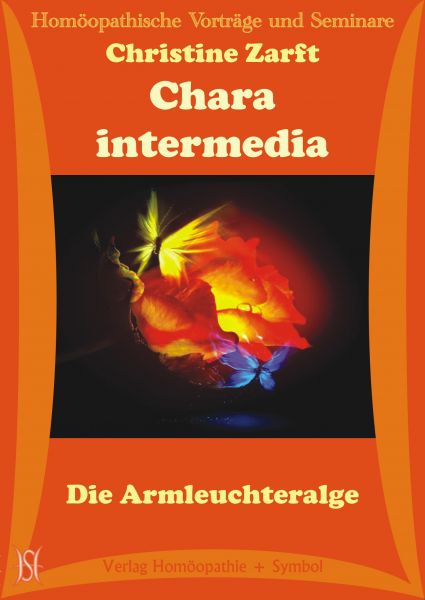 Chara intermedia. Die Armleuchteralge