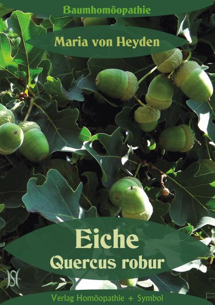 Eiche. Quercus robur. Der homöopathische Weg der Bäume