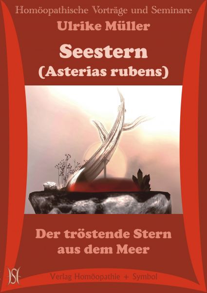 Seestern (Asterias rubens). Der tröstende Stern aus dem Meer